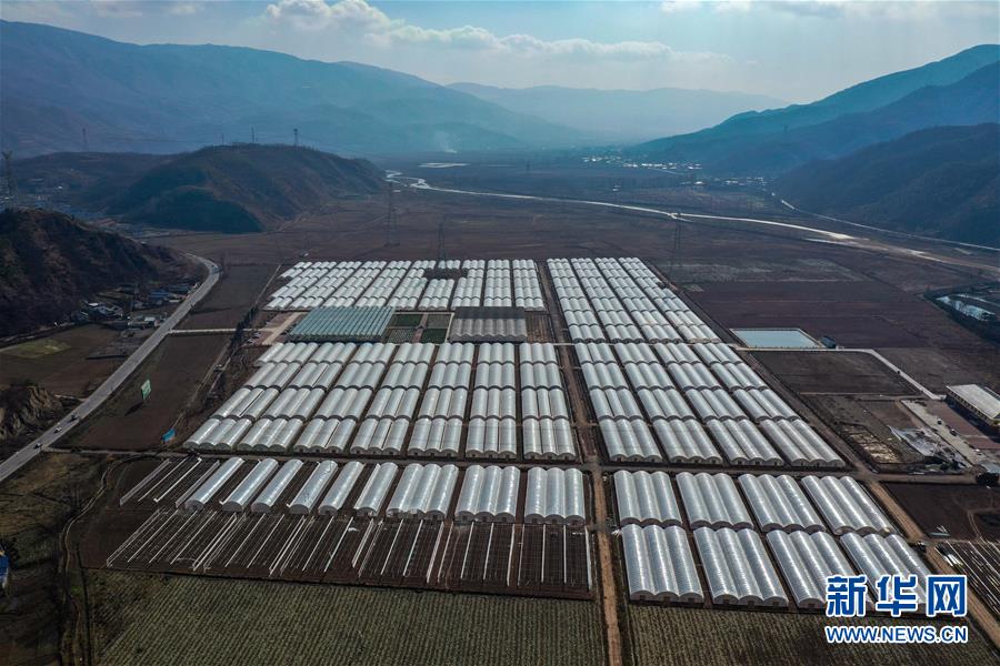 (新华全媒头条·图文互动)(8)践诺大凉山